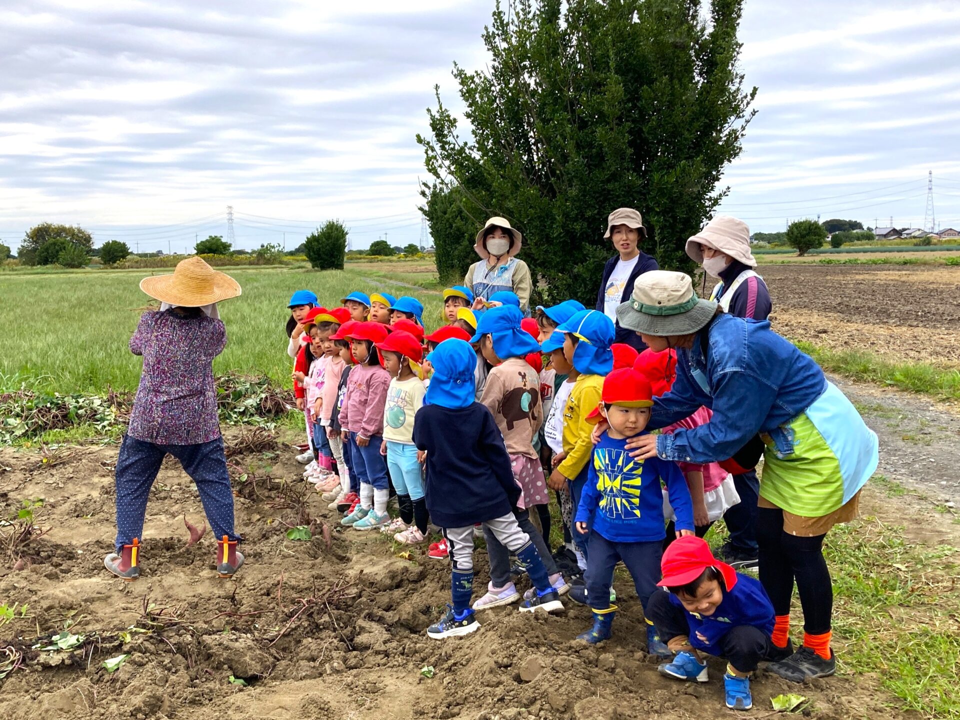職員が連携して子どもを見る様子